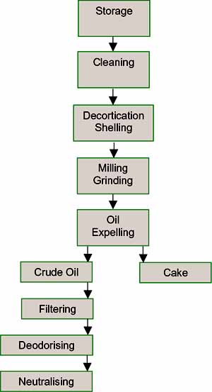 SmallScale Oil Processing 2.jpg