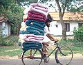 Bicycle carry1.jpg