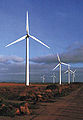 WindElectricityGenerationp01.jpg