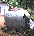 The Sri Lankan Pumpkin Tank03b.jpeg